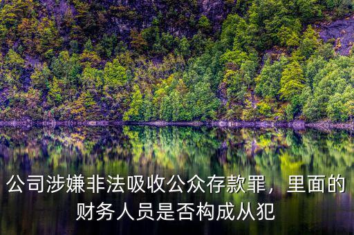 公司涉嫌非法吸收公眾存款罪，里面的財(cái)務(wù)人員是否構(gòu)成從犯