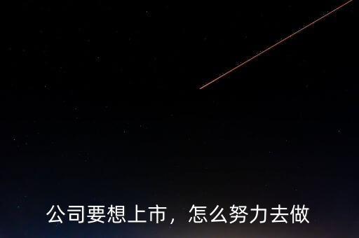 公司要想上市，怎么努力去做