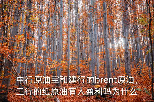 中行原油寶和建行的brent原油，工行的紙?jiān)陀腥擞麊釣槭裁? class=