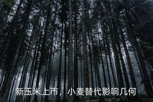 新玉米上市，小麥替代影響幾何