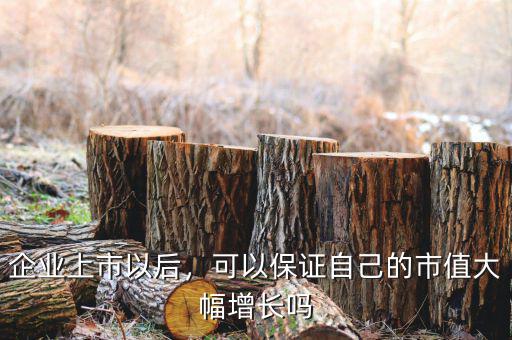 企業(yè)上市以后，可以保證自己的市值大幅增長(zhǎng)嗎