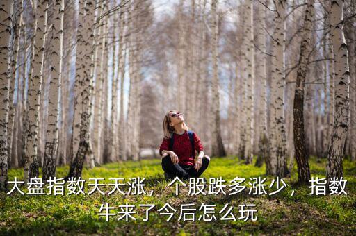 大盤指數(shù)天天漲，個(gè)股跌多漲少，指數(shù)牛來了今后怎么玩