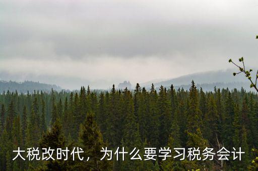 大稅改時代，為什么要學習稅務會計