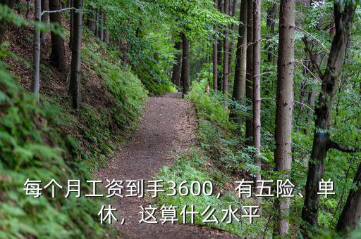 每個(gè)月工資到手3600，有五險(xiǎn)、單休，這算什么水平