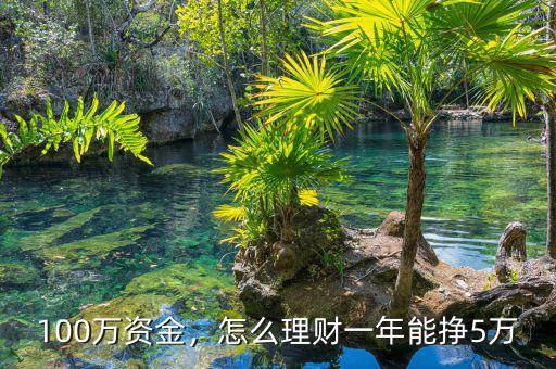 100萬資金，怎么理財一年能掙5萬