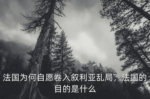 法國為何自愿卷入敘利亞亂局，法國的目的是什么