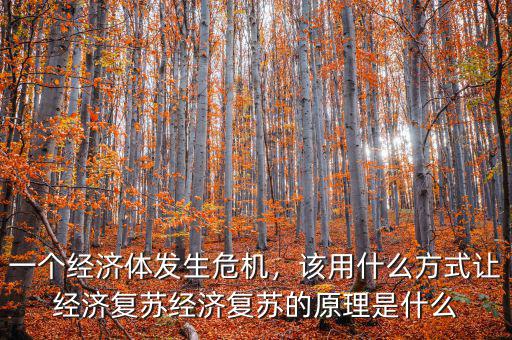 一個經(jīng)濟(jì)體發(fā)生危機(jī)，該用什么方式讓經(jīng)濟(jì)復(fù)蘇經(jīng)濟(jì)復(fù)蘇的原理是什么