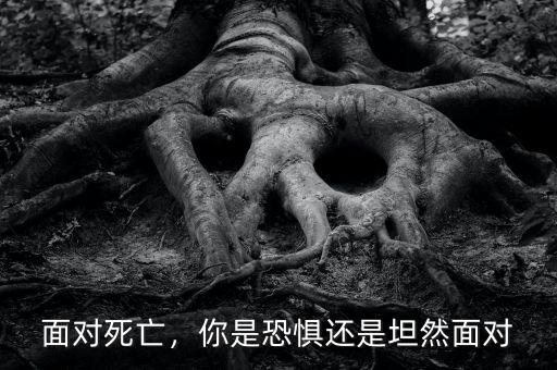 面對死亡，你是恐懼還是坦然面對