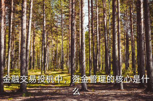 金融交易投機(jī)中，資金管理的核心是什么