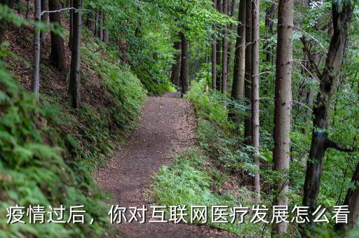 疫情過(guò)后，你對(duì)互聯(lián)網(wǎng)醫(yī)療發(fā)展怎么看