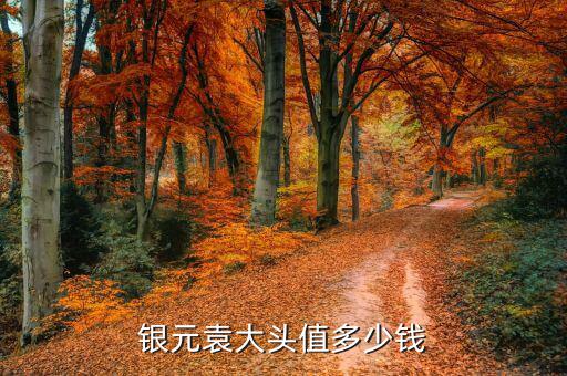 鷹揚(yáng)銀幣多少錢,現(xiàn)在一個銀元值多少錢