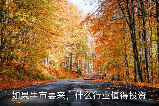 如果牛市要來，什么行業(yè)值得投資
