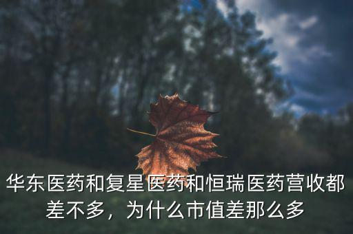 華東醫(yī)藥和復(fù)星醫(yī)藥和恒瑞醫(yī)藥營收都差不多，為什么市值差那么多