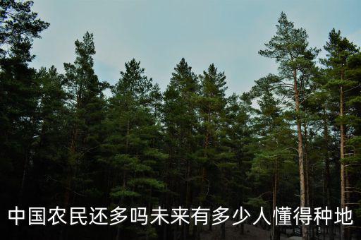中國農民還多嗎未來有多少人懂得種地