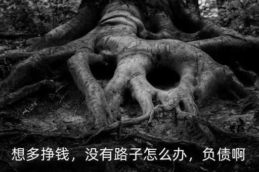 想多掙錢，沒有路子怎么辦，負(fù)債啊