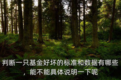 判斷一只基金好壞的標(biāo)準(zhǔn)和數(shù)據(jù)有哪些，能不能具體說明一下呢