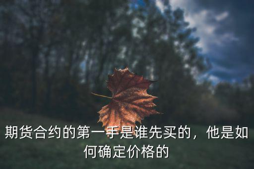 期貨合約的第一手是誰先買的，他是如何確定價(jià)格的