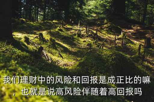 我們理財中的風險和回報是成正比的嘛，也就是說高風險伴隨著高回報嗎