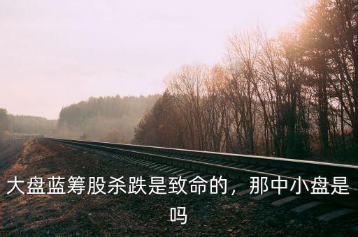 大盤藍(lán)籌股殺跌是致命的，那中小盤是嗎