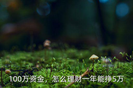 100萬資金，怎么理財一年能掙5萬