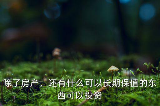 除了房產(chǎn)，還有什么可以長期保值的東西可以投資