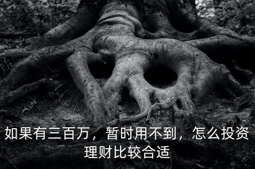 如果有三百萬，暫時用不到，怎么投資理財比較合適