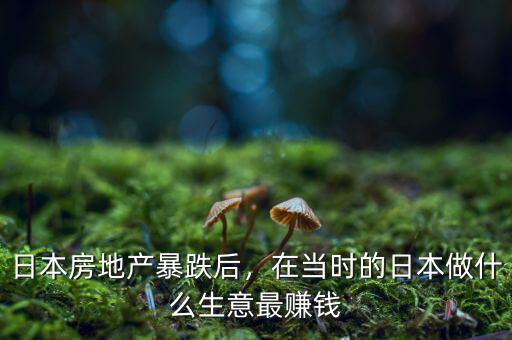 日本房地產(chǎn)暴跌后，在當(dāng)時(shí)的日本做什么生意最賺錢(qián)
