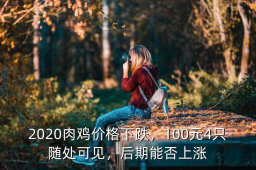 2020肉雞價(jià)格下跌，100元4只隨處可見，后期能否上漲