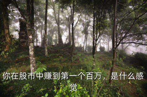 你在股市中賺到第一個百萬，是什么感覺