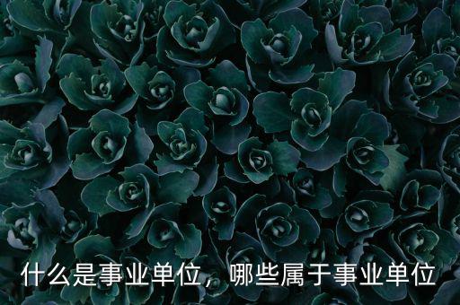 什么是事業(yè)單位，哪些屬于事業(yè)單位