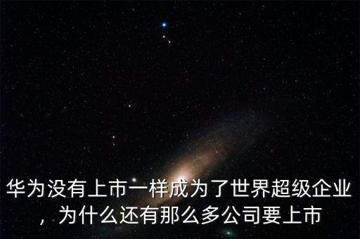 華為沒有上市一樣成為了世界超級企業(yè)，為什么還有那么多公司要上市