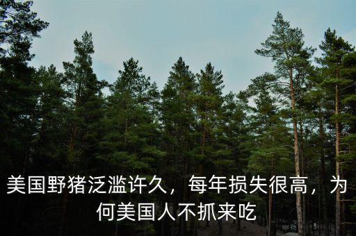 美國(guó)野豬泛濫許久，每年損失很高，為何美國(guó)人不抓來(lái)吃