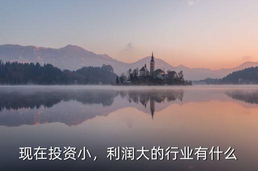 現(xiàn)在投資小，利潤(rùn)大的行業(yè)有什么