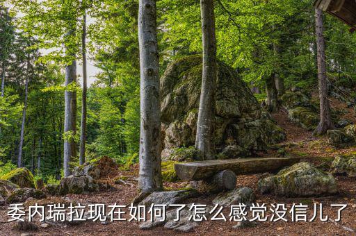 委內瑞拉怎么了,委內瑞拉現(xiàn)在如何了