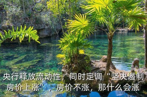 央行釋放流動性，同時定調(diào)“堅決遏制房價上漲”，房價不漲，那什么會漲