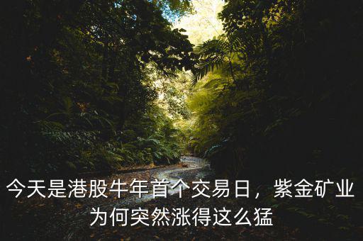 今天是港股牛年首個(gè)交易日，紫金礦業(yè)為何突然漲得這么猛