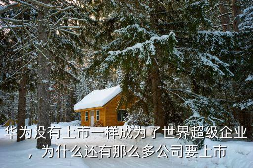 華為沒有上市一樣成為了世界超級企業(yè)，為什么還有那么多公司要上市