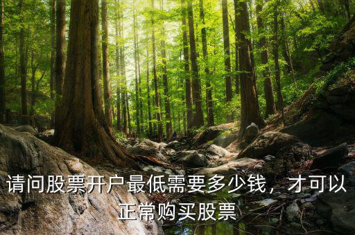 請問股票開戶最低需要多少錢，才可以正常購買股票