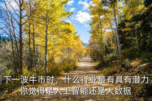 下一波牛市時(shí)，什么行業(yè)最有具有潛力你覺得是人工智能還是大數(shù)據(jù)