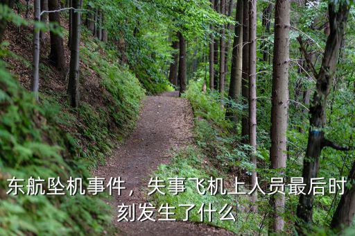 東航墜機事件，失事飛機上人員最后時刻發(fā)生了什么