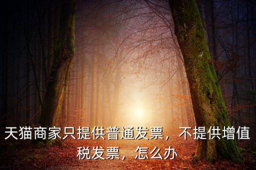 天貓商家只提供普通發(fā)票，不提供增值稅發(fā)票，怎么辦
