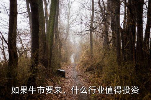 牛市過后投資什么,現(xiàn)階段國內什么投資風險小