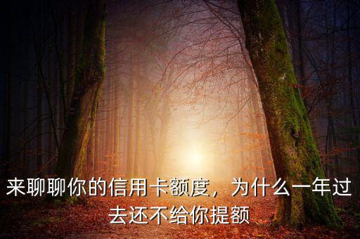 來聊聊你的信用卡額度，為什么一年過去還不給你提額