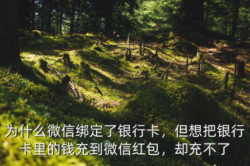 為什么微信綁定了銀行卡，但想把銀行卡里的錢充到微信紅包，卻充不了