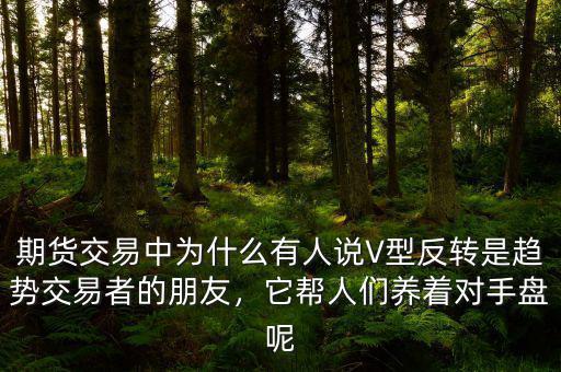期貨交易中為什么有人說V型反轉是趨勢交易者的朋友，它幫人們養(yǎng)著對手盤呢
