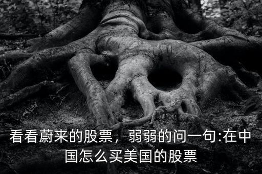 看看蔚來的股票，弱弱的問一句:在中國怎么買美國的股票