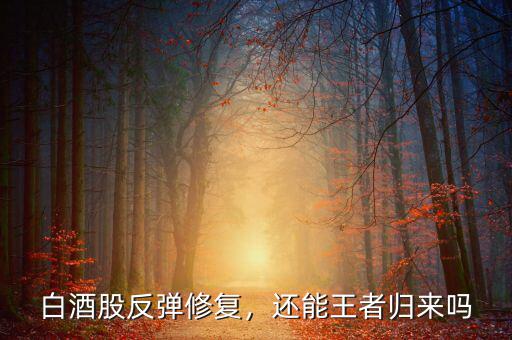 白酒股反彈修復(fù)，還能王者歸來嗎