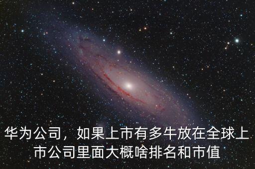 華為公司，如果上市有多牛放在全球上市公司里面大概啥排名和市值