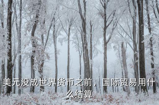 美元沒成世界貨幣之前，國際貿(mào)易用什么結(jié)算