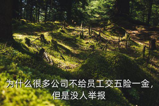 為什么很多公司不給員工交五險(xiǎn)一金，但是沒(méi)人舉報(bào)